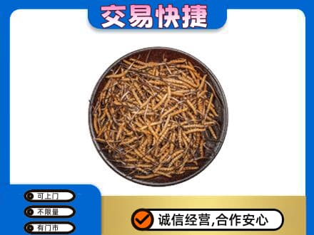 中山市小榄镇高价回收散虫草